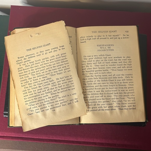 Modern Library Fairy Tales and Poems in Prose by Oscar Wilde Vintage 1925-1929 - Picture 12 of 15